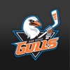 San Diego Gulls Hockey Club