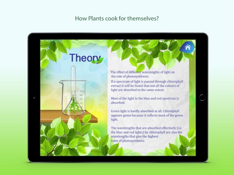 The Photosynthesis screenshot 2