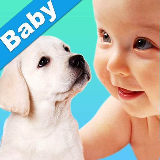 Baby Animals icon