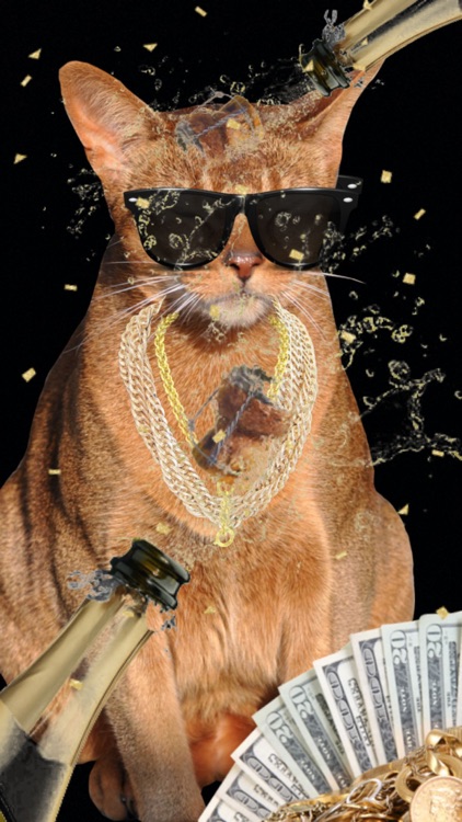 Say Queso! screenshot-4