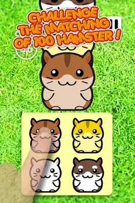 Game screenshot Hamster 100 Adorable Pet Friends apk