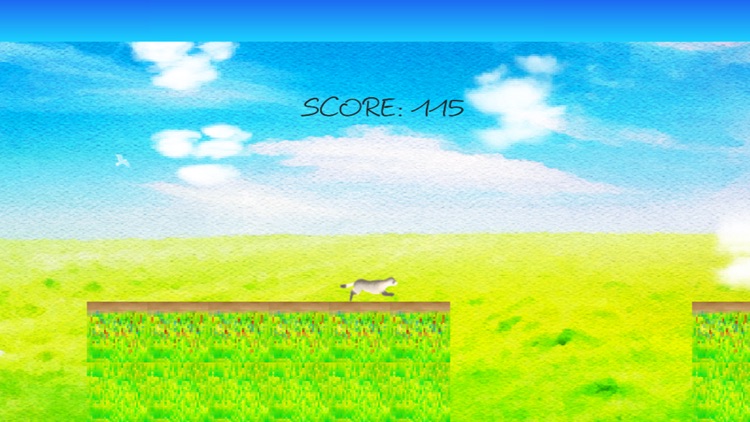 Ferret Runner