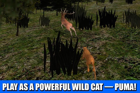 Wildlife Survival 3D: Puma Cat screenshot 2