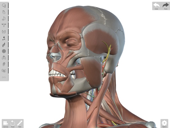 Screenshot #4 pour Human Anatomed