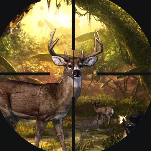 Mystery of Deep Forest Deer Hunting