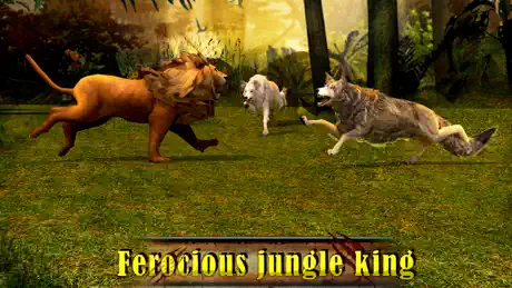 Rage Of Lion