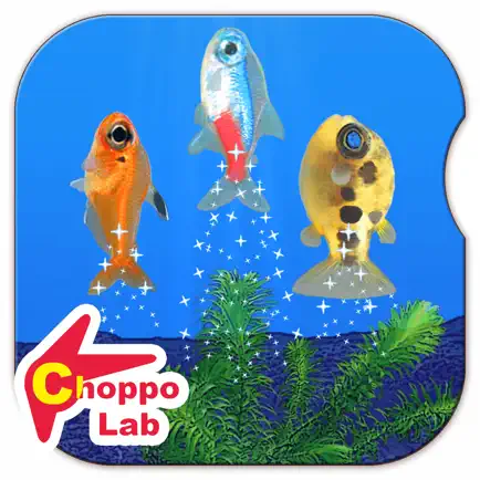Tiny Little Fish Pictorical Book Читы