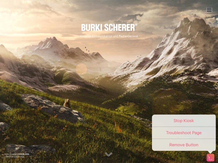 Offline Kiosk screenshot-4