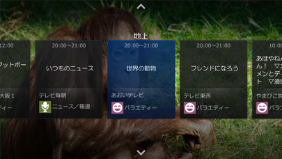 Screenshot #2 pour 地デジViewer （R）