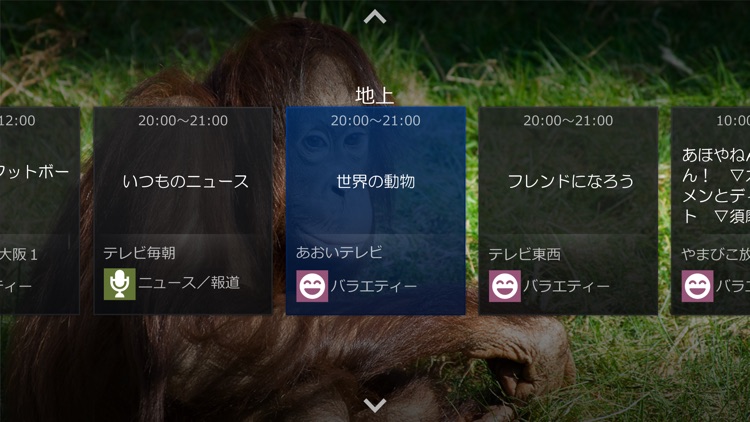 地デジViewer (R)
