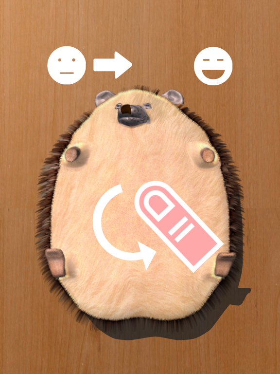 Super Belly Rub: Hedgehog Massage Parlor iPad screenshot 2 - Entertainment app