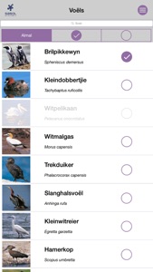 Sasol Algemene Voëls vir Beginners (Lite): Blitsfeite, foto's en video's van 46 Suider-Afrikaanse voëls screenshot #2 for iPhone
