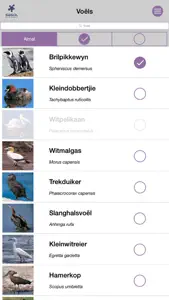 Sasol Algemene Voëls vir Beginners (Lite): Blitsfeite, foto's en video's van 46 Suider-Afrikaanse voëls screenshot #2 for iPhone
