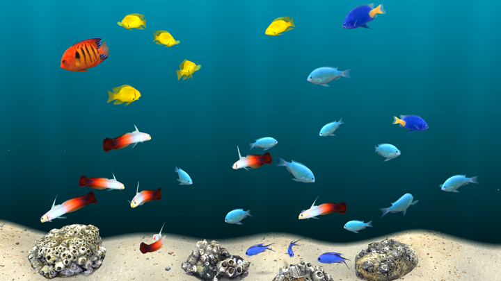 Screenshot #3 pour MyReef 3D Aquarium TV Lite