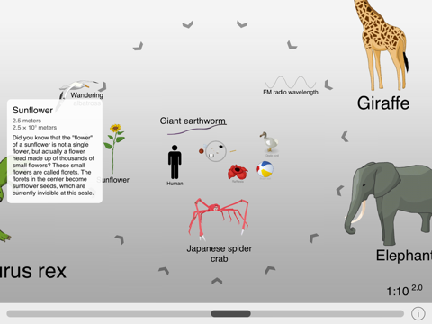 Screenshot #4 pour The Scale of the Universe 2