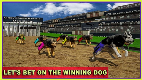 Race Dog Racer Simulator 2016 – Virtual Racing Championship with Real ...