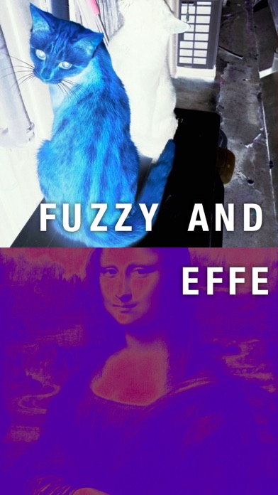 Fuzzycamera - ファジーで愉快なエフェクトがあるカメラのおすすめ画像1