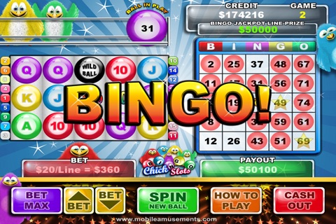 Bingo Chick Slots FREE screenshot 4