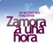 Aplicación titularidad del Patronato de Turismo de Zamora