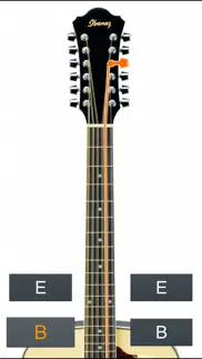 12-string guitar tuner simple iphone screenshot 4