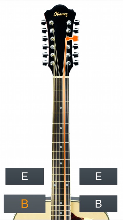 12-String Guitar Tuner Simple screenshot-3
