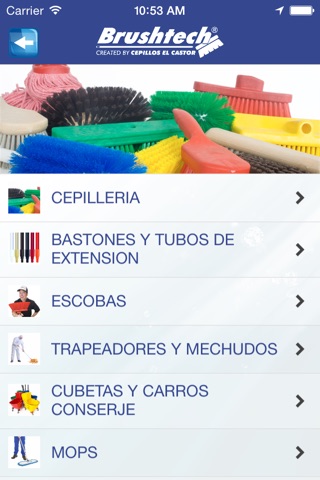 CEPILLOSELCASTOR screenshot 2