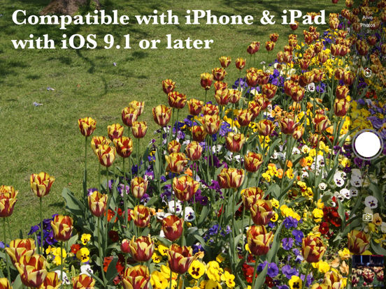 Screenshot #5 pour Alive Photos