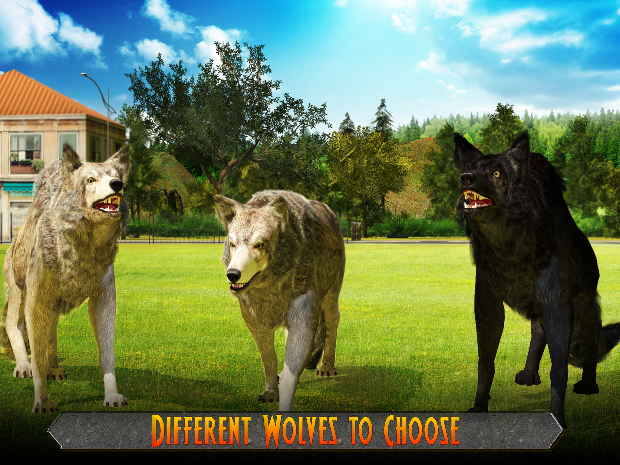 Wolf Pack Attack 2016