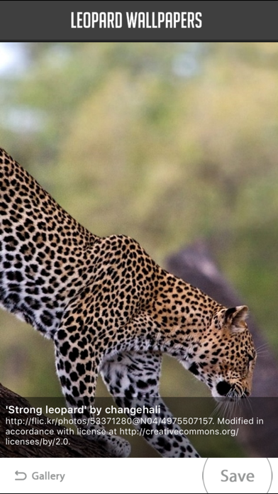 How to cancel & delete Leopard Wallpaper from iphone & ipad 4