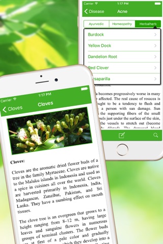 Medicinal Herbal Plants & Cures Herbs Free screenshot 3