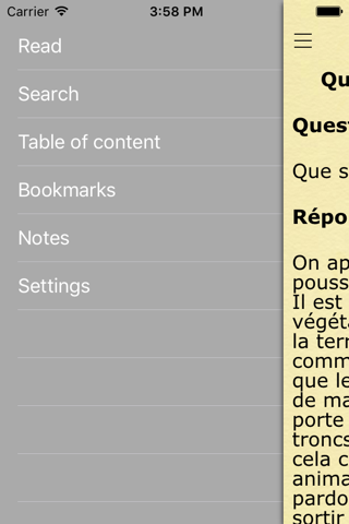 Questions et Réponses Islamiques (Islamic Question and Answers in French) screenshot 2