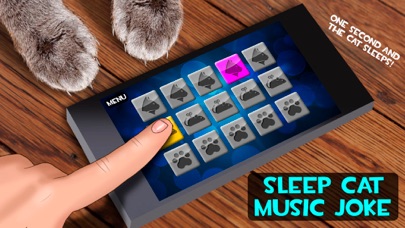 Screenshot #3 pour Sleep Cat Music Joke