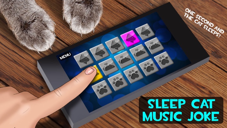 Sleep Cat Music Joke