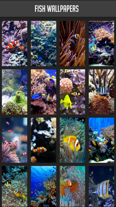 Screenshot #1 pour Fish Wallpapers!