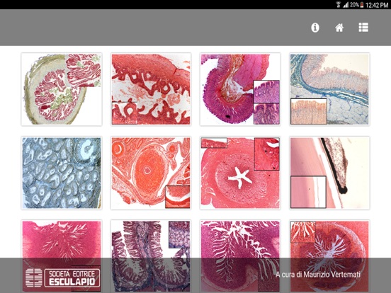 Screenshot #6 pour Diagnosi di Anatomia Microscopica