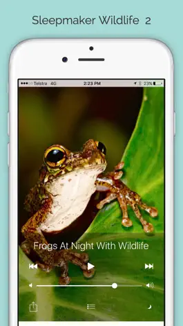 Game screenshot Sleepmaker Wildlife 2 mod apk