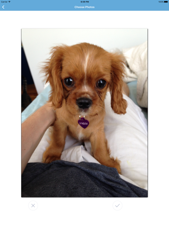 Swipe and Print iPad screenshot 1 - Photo & Video app