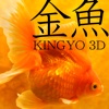 Kingyo 3D