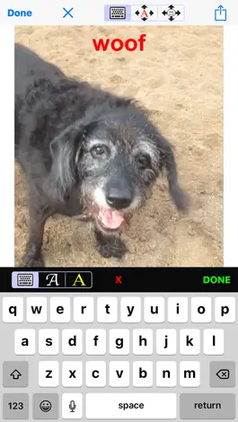Game screenshot iMagiGIF - time-bending animated GIF maker camera mod apk