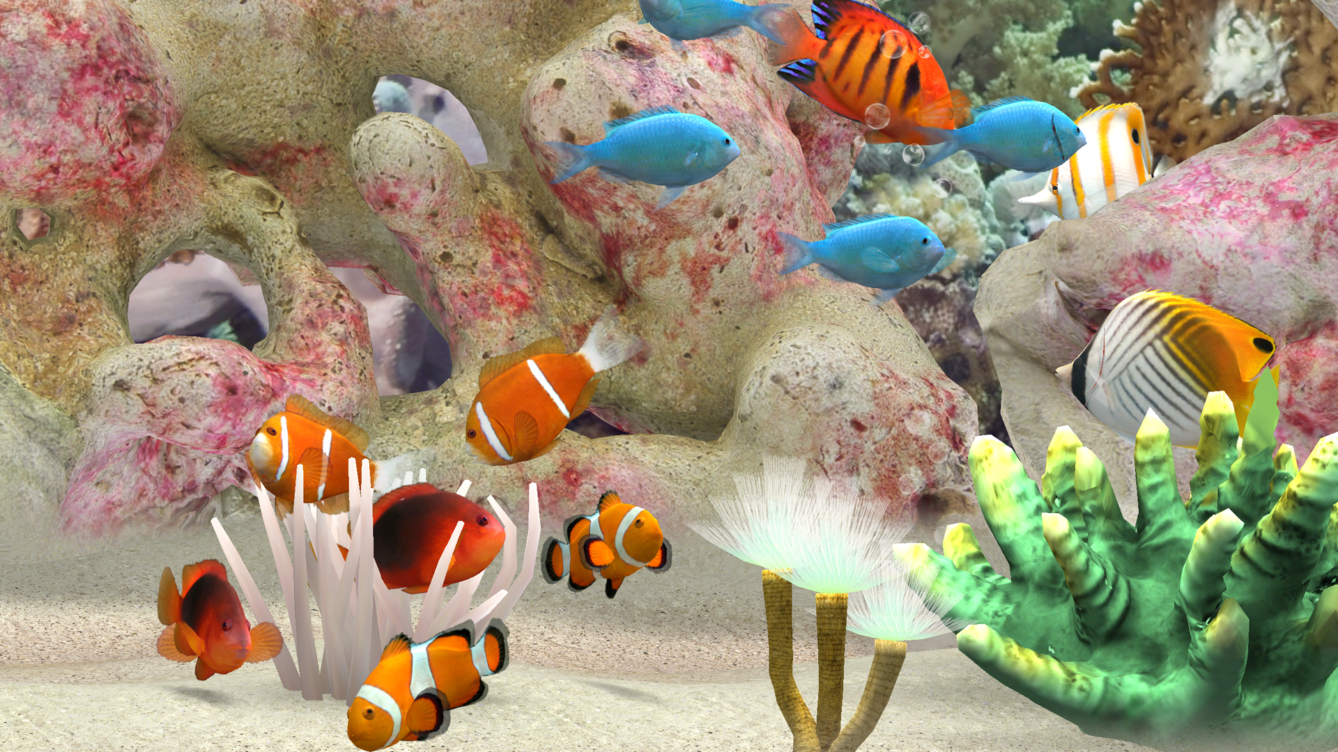 MyReef 3D Aquarium TV screenshot 5