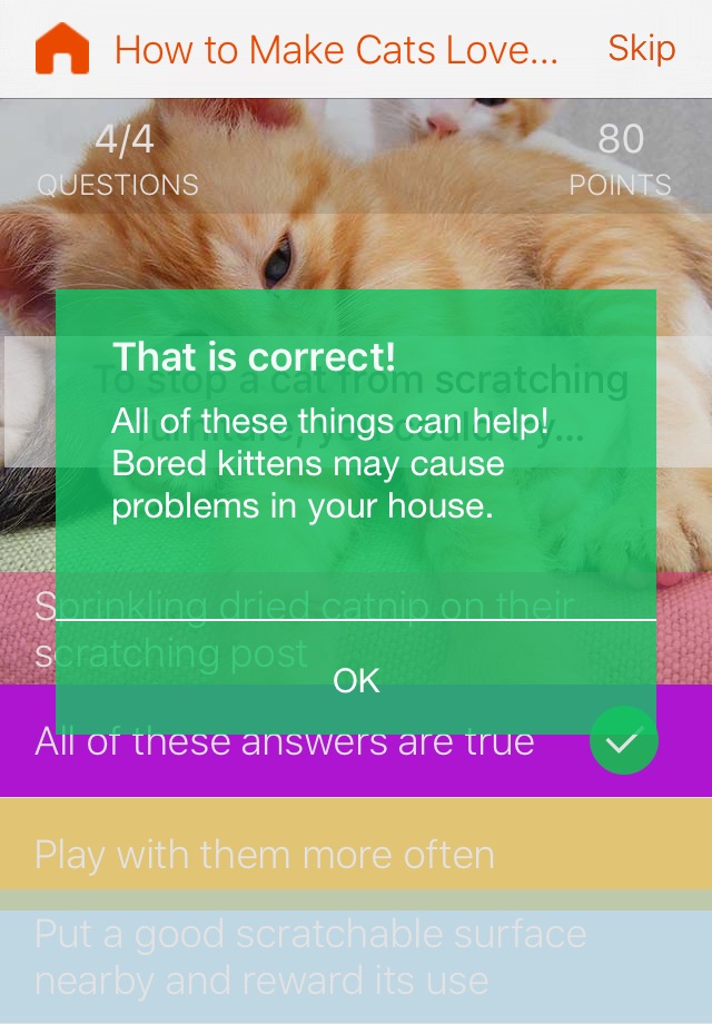 Kittens vs. You - Free Trivia and Quiz Game for Kittens of All Ages screenshot 2