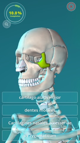 Anatomy Quiz - muscles and bonesのおすすめ画像4