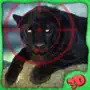 Wild Cat Hunter Simulator – Chase & shoot down animals in this shooting simulation game