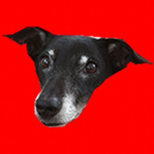 Floyd's Adventures Icon