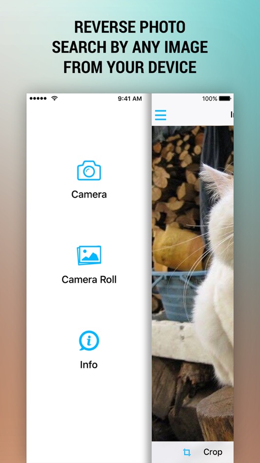 Reverse Photo Search – Free And Easy Image Search - 1.0 - (iOS)