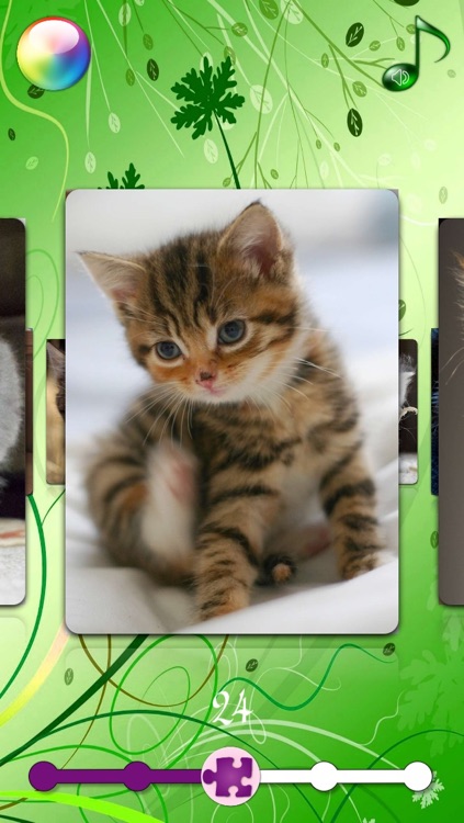 Kitty Kitten Jigsaw Puzzle Games for Girls with Baby Pet Cat who Loves Educational Animal Puzzles for Kids