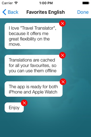 Travel Translator - for everybody on the go screenshot 3