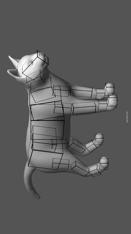 Cat Pose Tool 3D screenshot-4