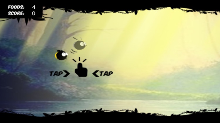 the mysterious land of bees