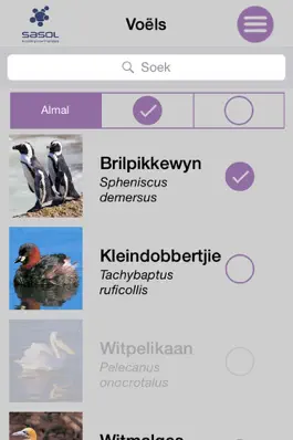 Game screenshot Sasol Algemene Voëls vir Beginners (Lite): Blitsfeite, foto's en video's van 46 Suider-Afrikaanse voëls apk